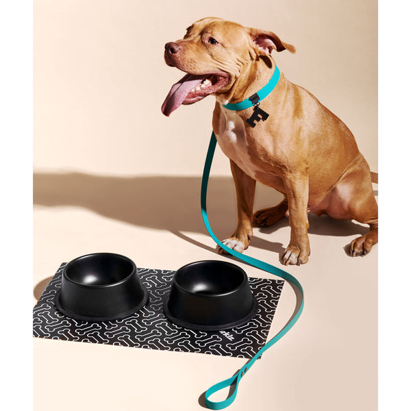 Dog bone online food mat