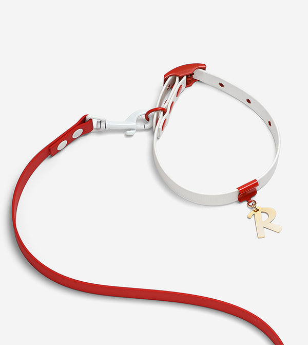 Santa Christmas Set: Limited Edition - brklz
