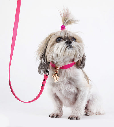 brklz Leash Fuchsia