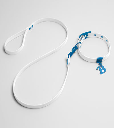 Set For Spring: Limited Edition