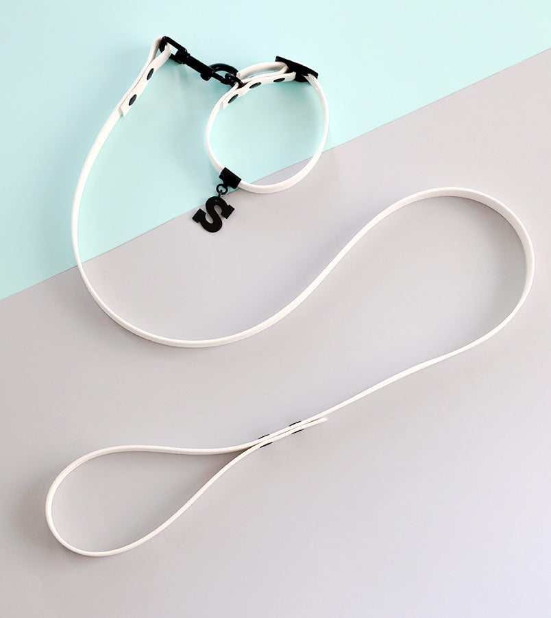 Set For Spring: Limited Edition