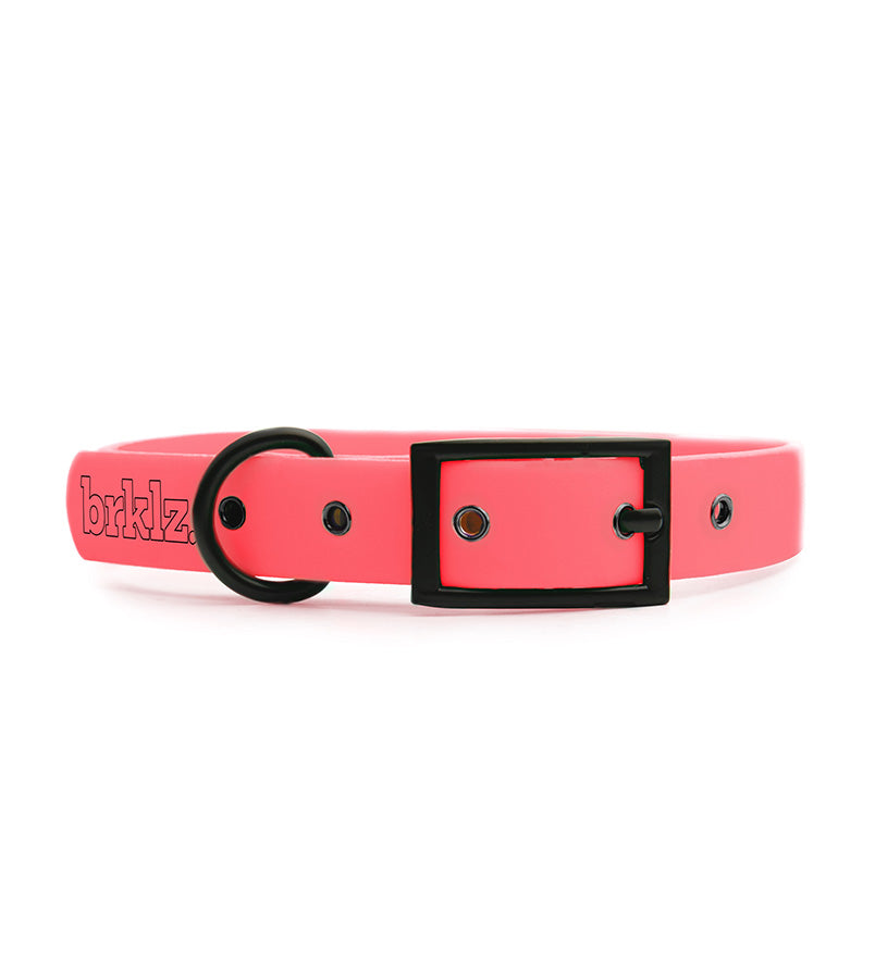 brklz Collar Coral