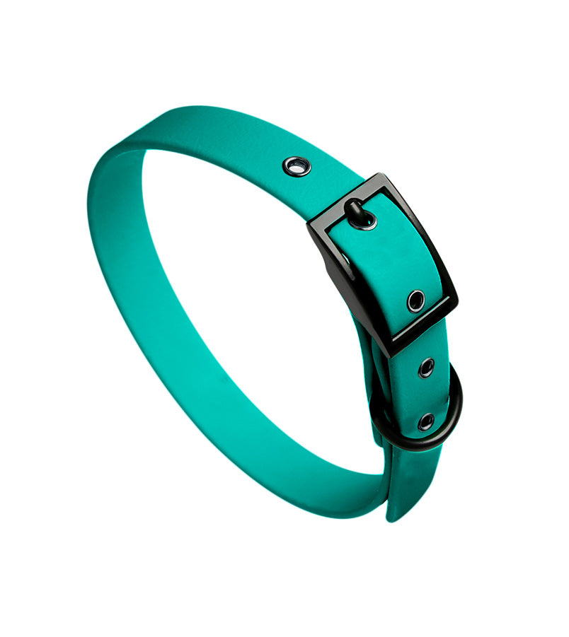 brklz Collar Turquoise