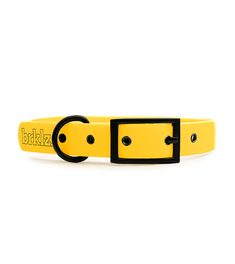 brklz Collar Yellow
