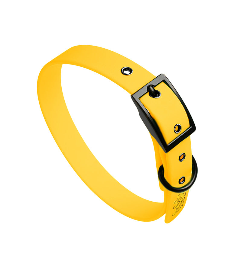 brklz Collar Yellow