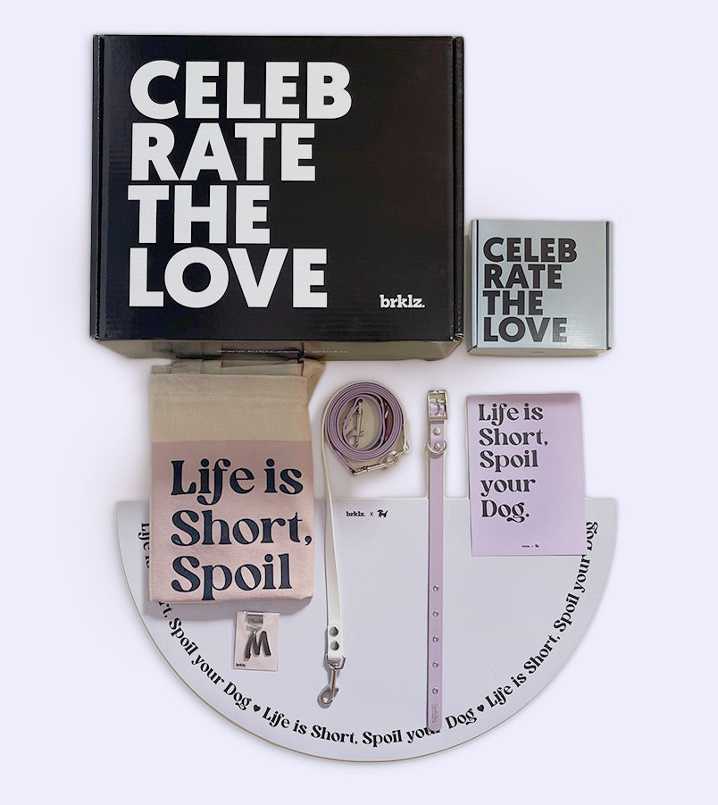 brklz ❤ DogsReco Bundle